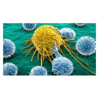 Terapia Orthomolecular Oncológica Coadyuvante