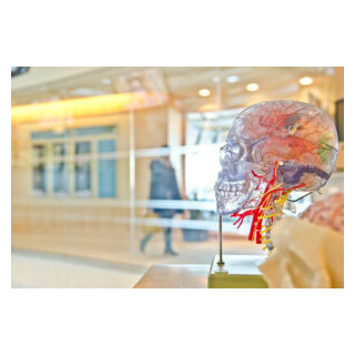 Test de Neurotransmisores