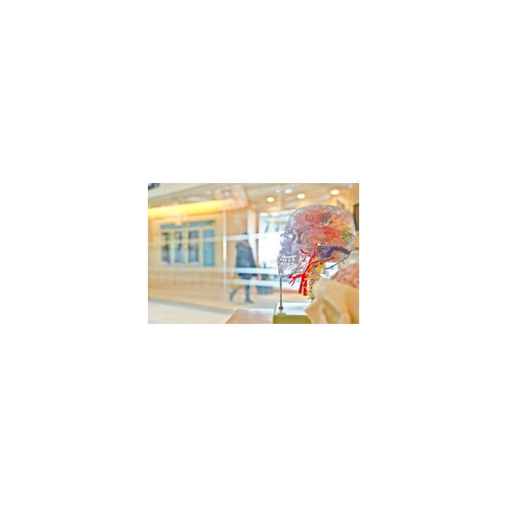 Test de Neurotransmisores