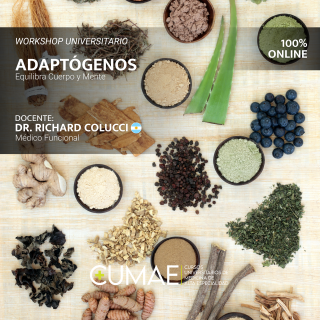 Workshop: Adaptógenos